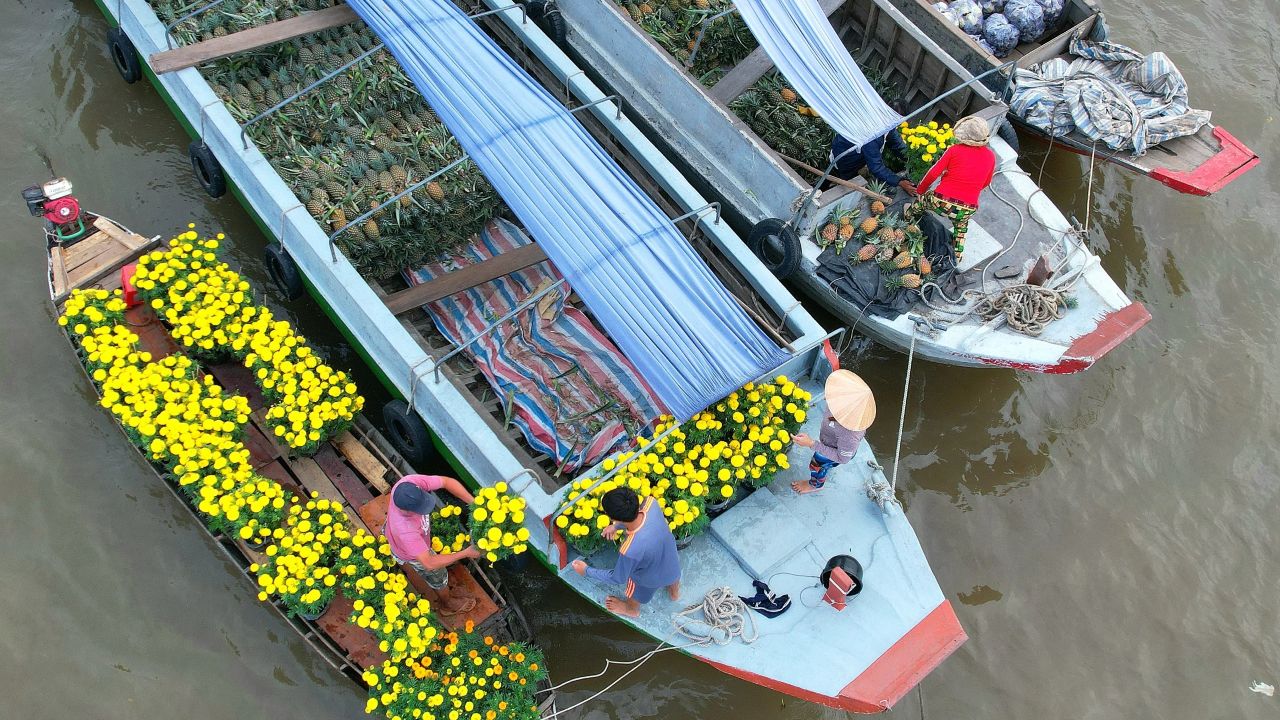 Cai Rang floating Market, Can Tho – Travel Guide (2025) 9 Cai Rang floating market before Tet holiday