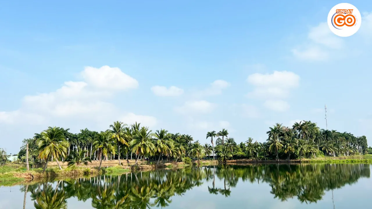 Son islet tour | Explore local islet in Mekong river 30 Green islet - Con Son