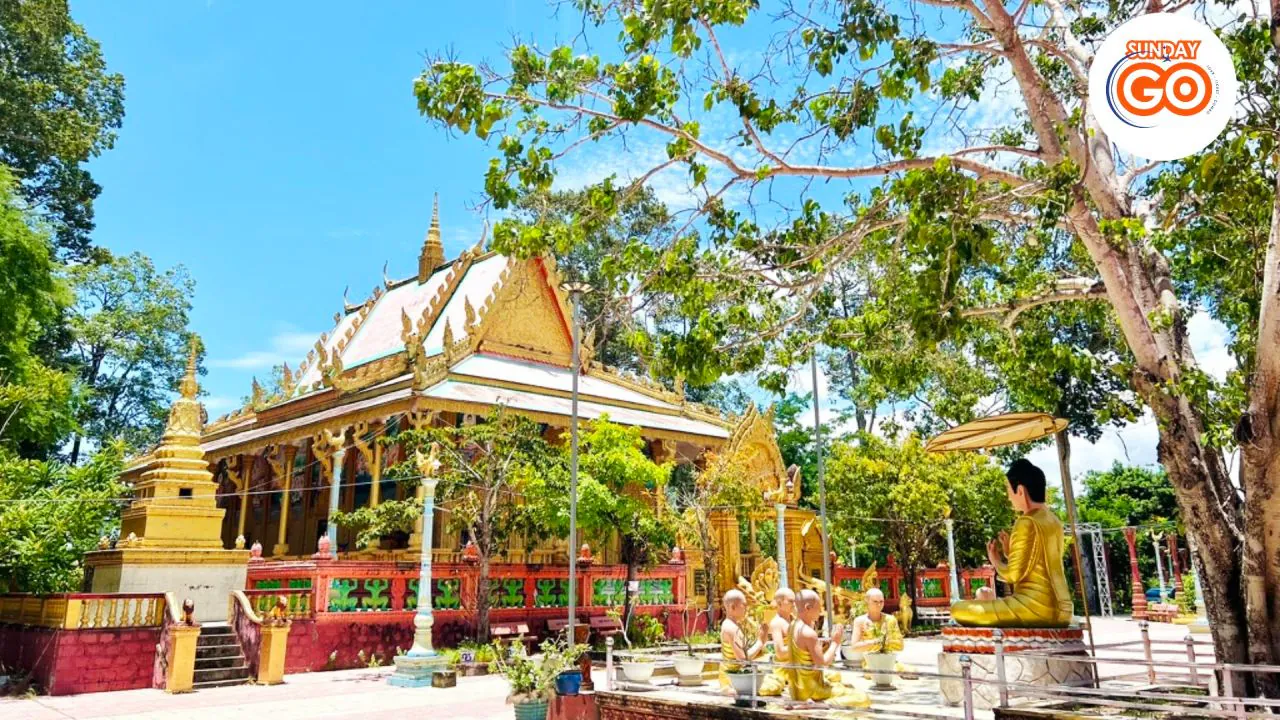 Can Tho floating market and Tra Su forest tour (Private) 42 See the whole Tra Su forest from the bird watching tower