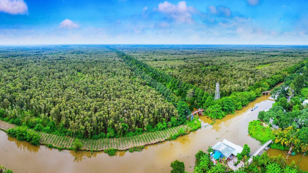 #1 Can Tho floating market tours, Mekong tours - Sunday Go 36 Hau Giang