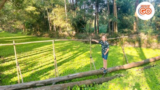 Can Tho wildlife tour | Explore nature and wildlife 19 Immerse yourself in the beauty of the nature reserve