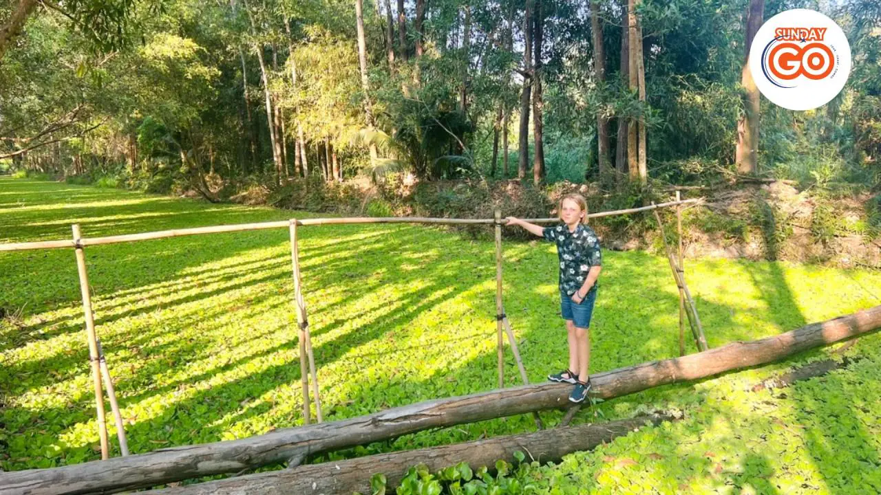 Can Tho floating market tour and Lung Ngoc Hoang forest 37 Immerse yourself in the beauty of the nature reserve