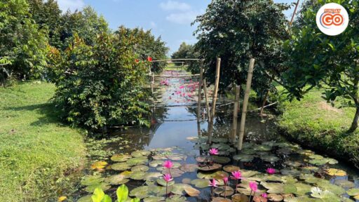 Son islet tour | Explore local islet in Mekong river 24 Peaceful corner in Son islet