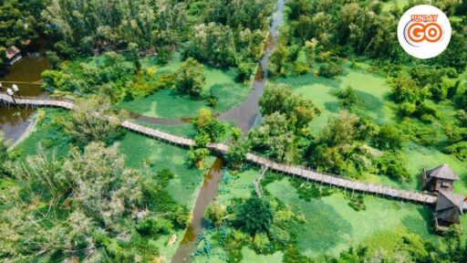 Can Tho floating market and Tra Su forest tour 25 Take 2,5 km long on the longest bamboo bridge in Vietnam