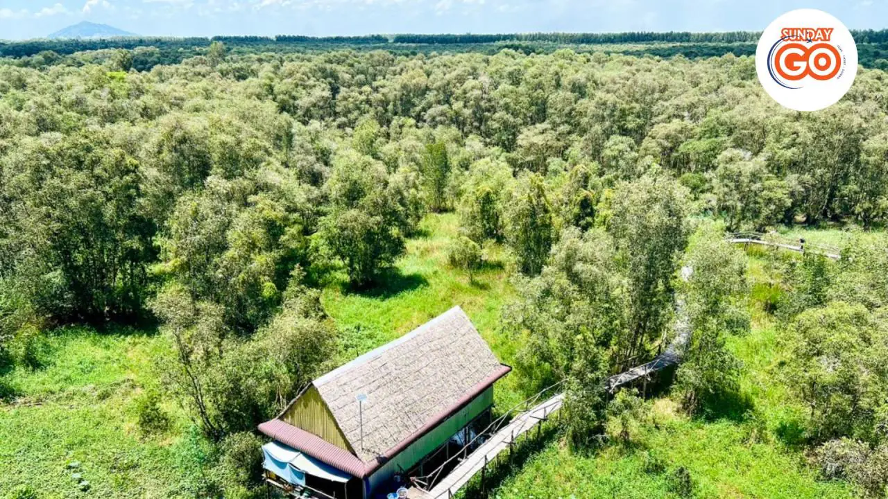 Tra su forest tour from Can Tho | Back to nature - Private tour 21 845-ha Tra Su flooded forest