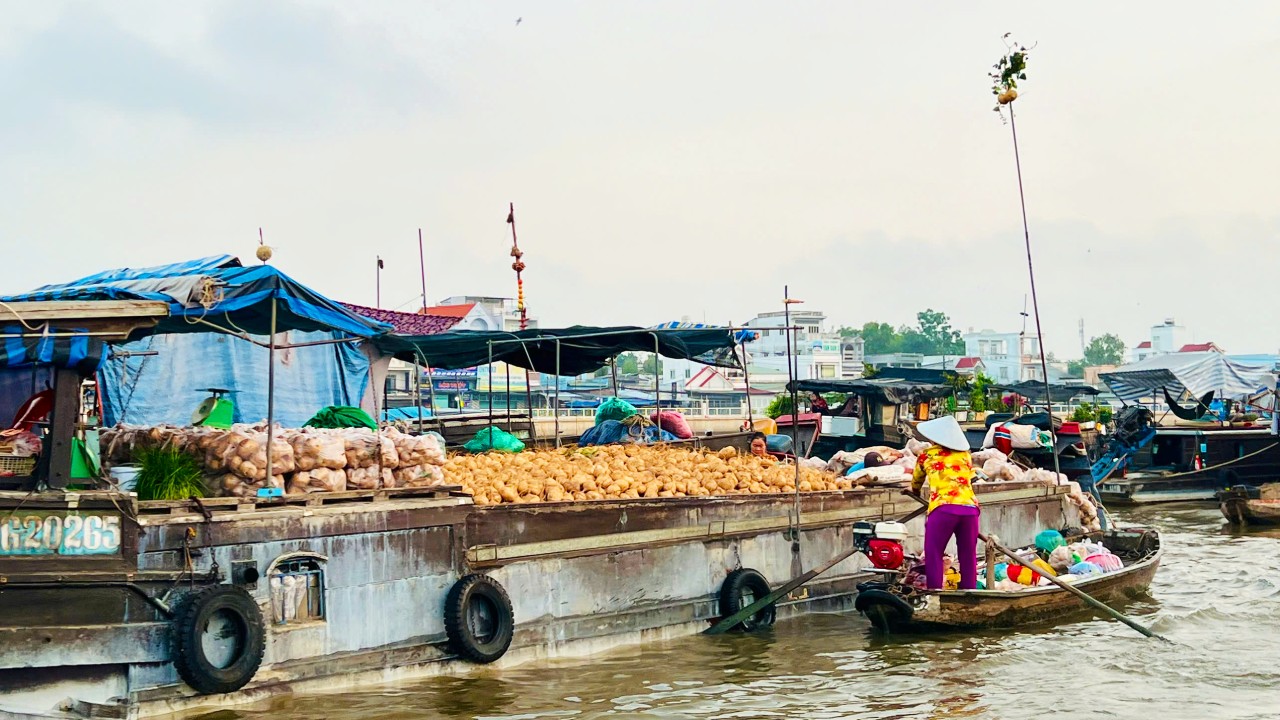 #1 Can Tho floating market tours, Mekong tours - Sunday Go 32 Can Tho