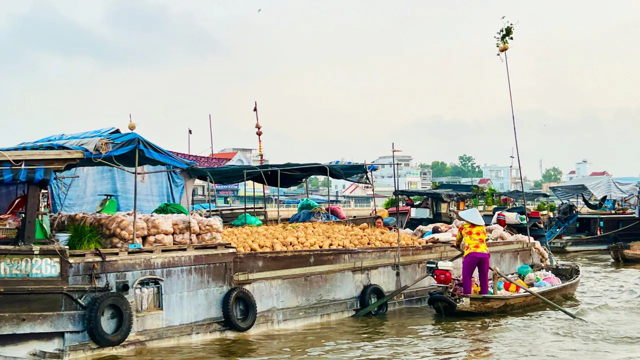 #1 Can Tho floating market tours, Mekong tours - Sunday Go 40 Can Tho
