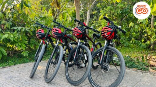 Can Tho bike tour half day - Countryside discovery (17km) 12 Can Tho bike tour in Mekong delta