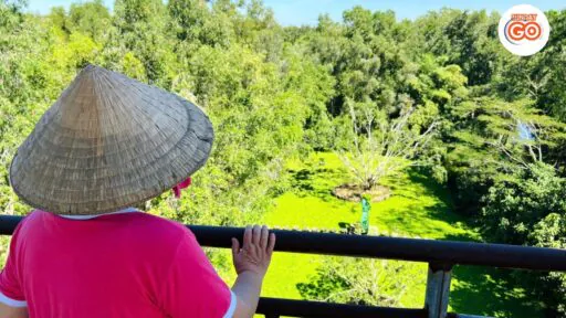 #1 Can Tho floating market tours, Mekong tours - Sunday Go 10 Can Tho floating market and wildlife tour - Private group