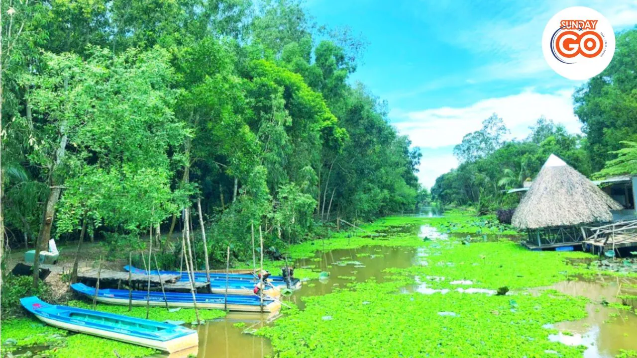 Can Tho floating market tour and Lung Ngoc Hoang forest 28 Can Tho wildlife tour and Cai Rang floating market