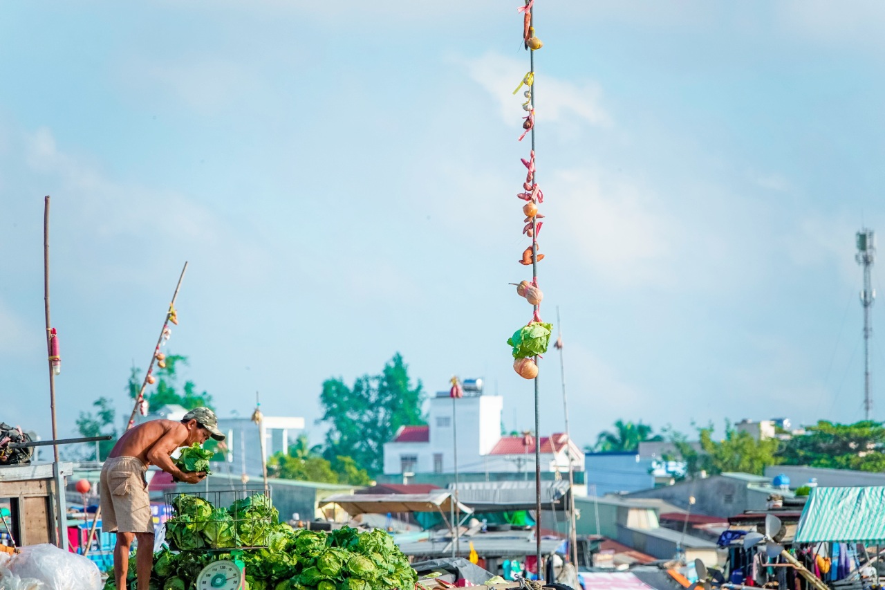 Cai Rang floating Market, Can Tho – Travel Guide (2025) 13 Colorful "Beo" pole in Cai Rang floating market