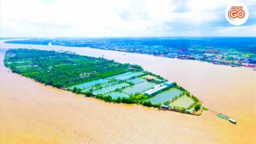 Son islet tour | Explore local islet in Mekong river 14 Son islet tour – Visit the local community in the middle of Hau river