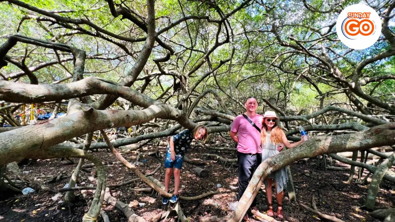 Can Tho floating market tour and Lung Ngoc Hoang forest 35 Explore hidden VC base in Can Tho - Know more about the war time in Mekong delta
