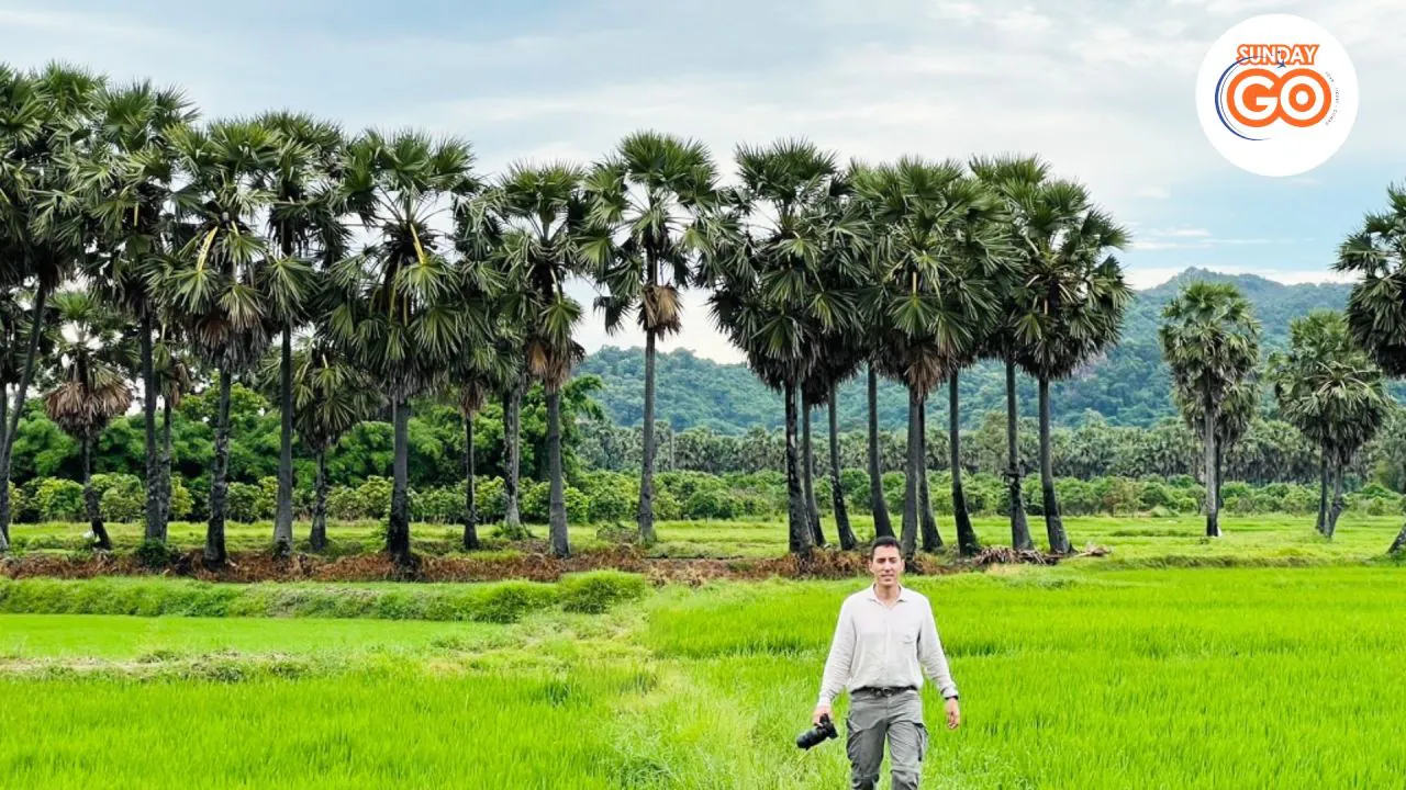 Can Tho floating market and Tra Su forest tour (Private) 43 Explore beautiful sugar palm field in Mekong delta