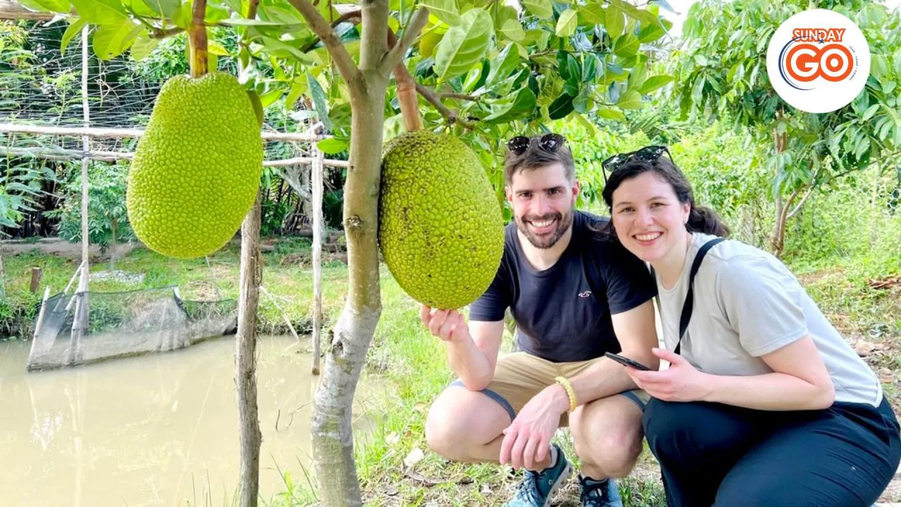 Explore lush tropical fruit garden in Mekong delta