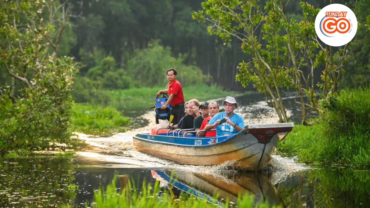 Tra su forest tour from Can Tho | Back to nature - Private tour 19 Explore Tra Su flooded cajuput forest in Mekong delta