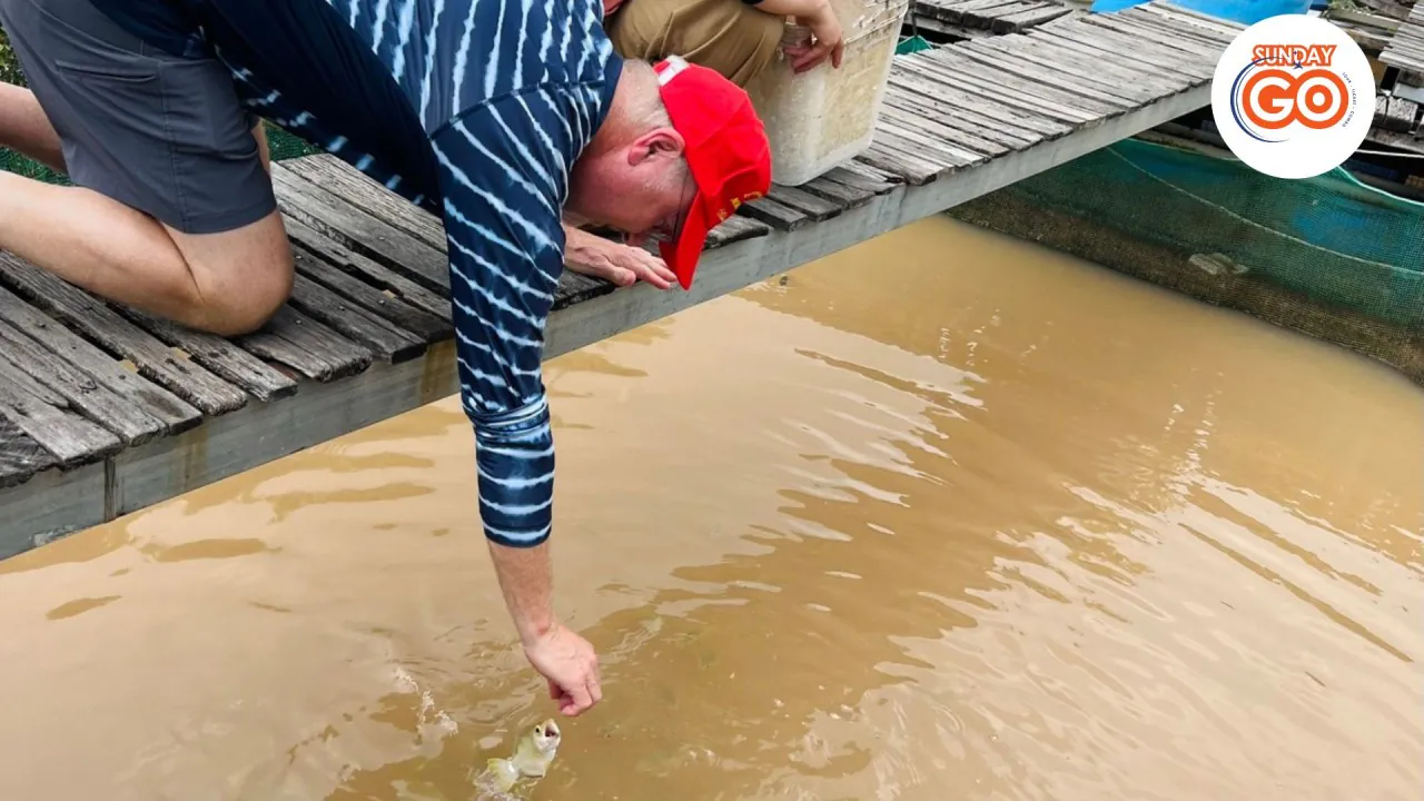 Son islet tour | Explore local islet in Mekong river 29 Have fun with Mekong fish