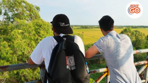Can Tho wildlife tour | Explore nature and wildlife 20 See beautiful rice field from the bird watching tower in the forest