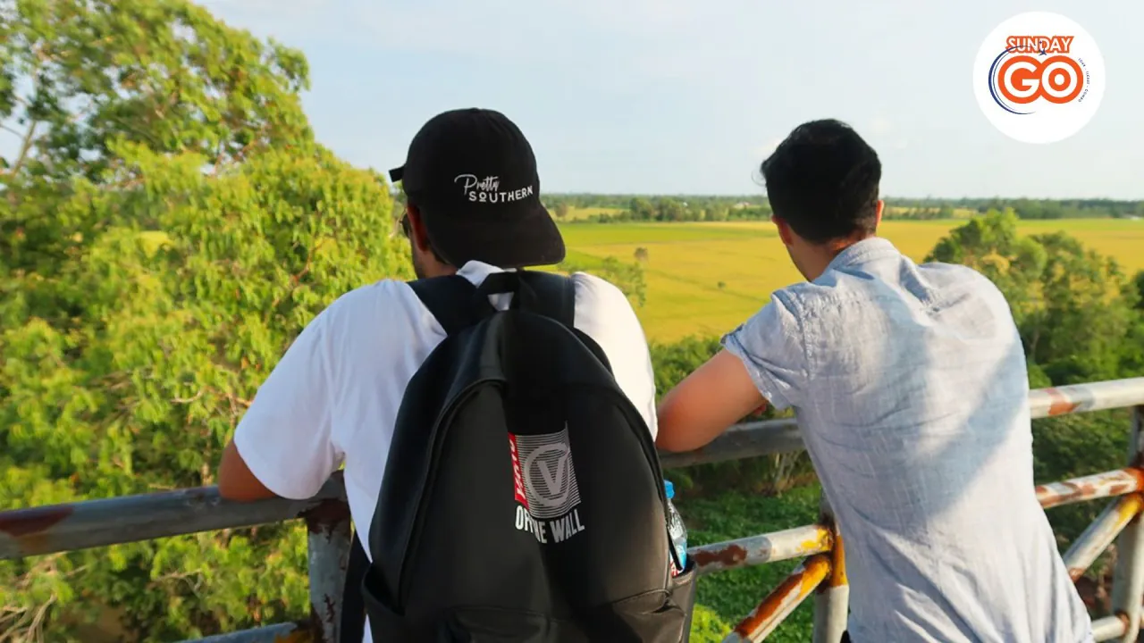Can Tho floating market tour and Lung Ngoc Hoang forest 39 See beautiful rice field from the bird watching tower in the forest