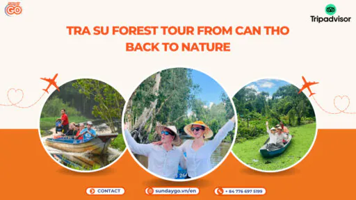 Tra Su forest from Can Tho