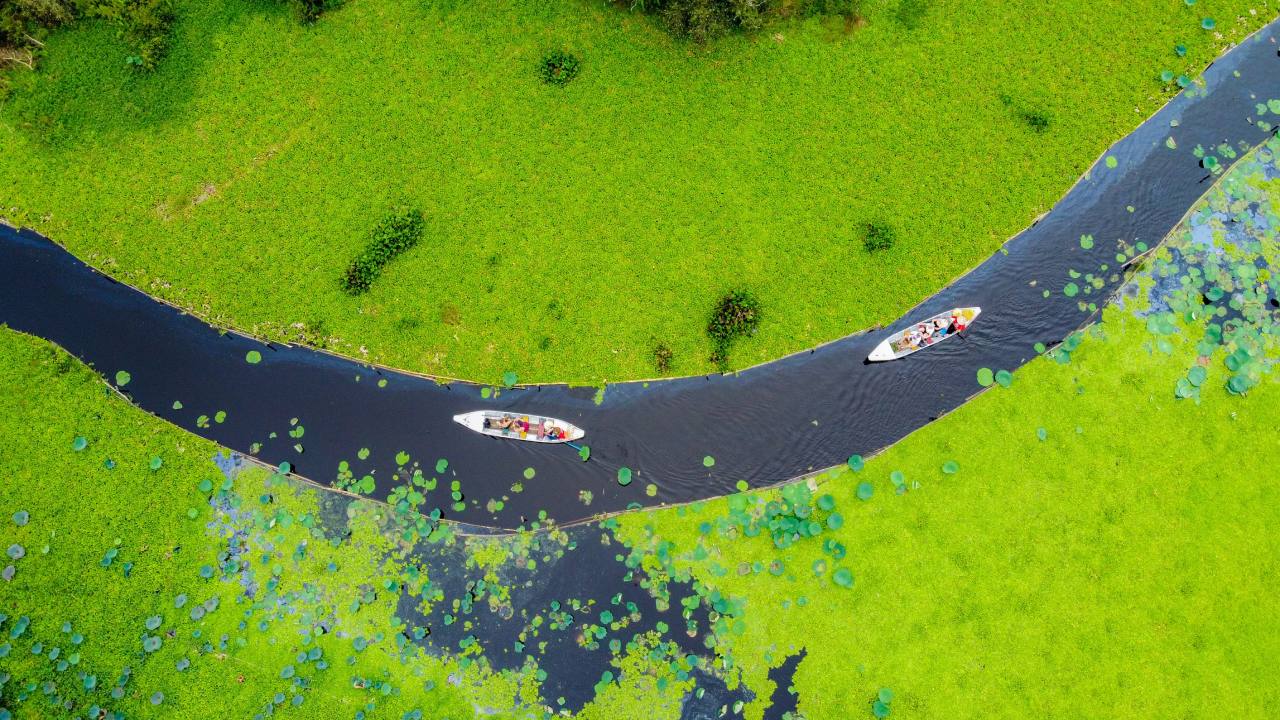 #1 Can Tho floating market tours, Mekong tours - Sunday Go 33 Tra Su forest