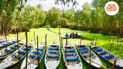 Tra su forest tour from Can Tho | Back to nature 10 Tra Su melaleuca forest tour from Can Tho