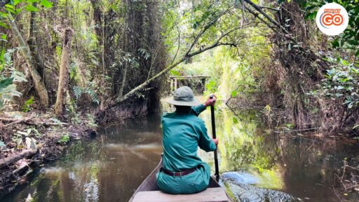 Dong Thap tour from Can Tho – Explore Xeo Quyt forest 7 Xeo Quyt forest tour - Explore the beautiful flooded forest in Mekong delta