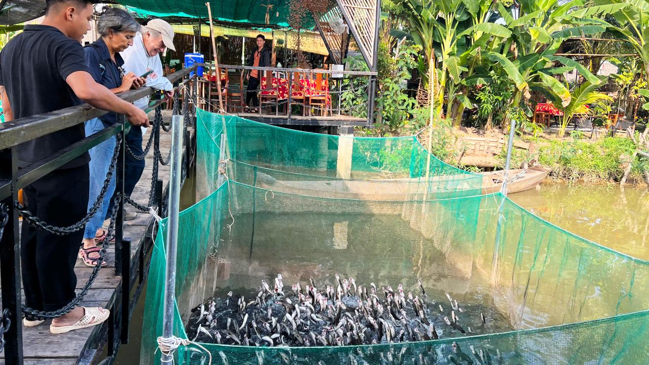 Tour Cồn Sơn Cần Thơ - Khám phá miệt vườn sông nước (2025) 32 Tour Cần Thơ 1 ngày cá lóc bay Cồn Sơn