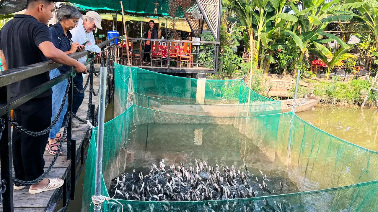 Tour Cần Thơ 1 ngày cá lóc bay Cồn Sơn