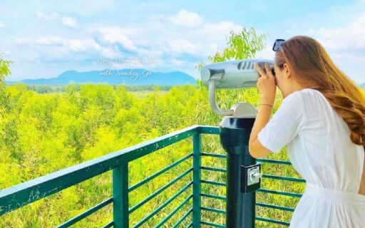 Tour An Giang 1 ngày từ Cần Thơ - Rừng tràm Trà Sư 16 Tháp canh ngắm chim