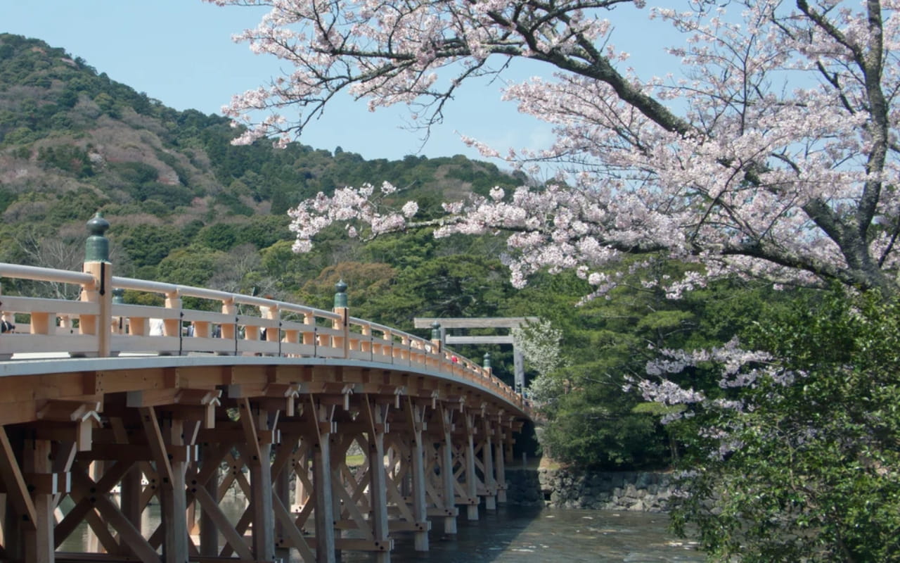 Tìm hiểu về cầu Uji 