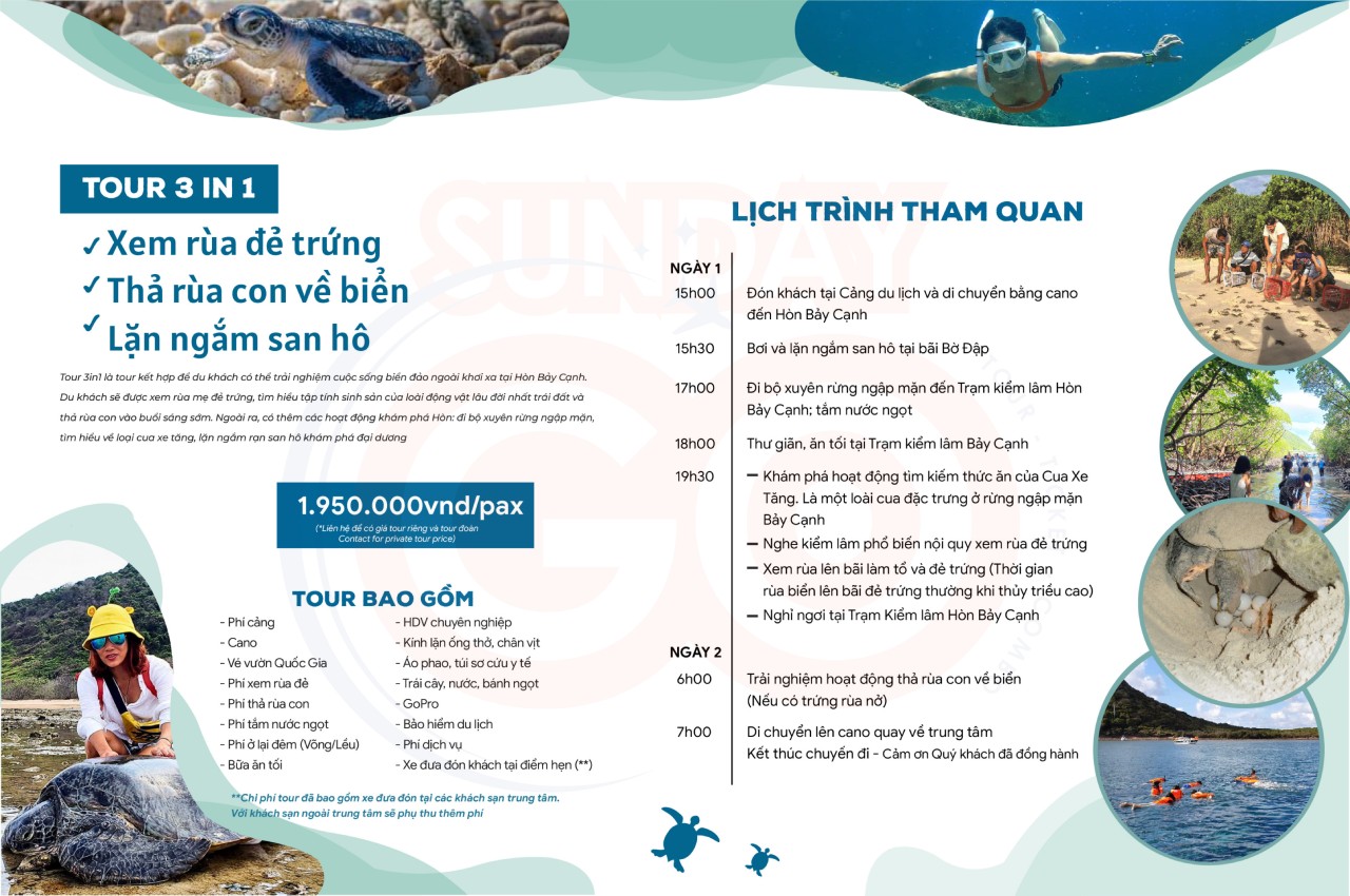 Tour Côn Đảo thả rùa về biển 2 ngày 1 đêm (Phiên bản đặc biệt) 11 Chương trình tour thả rùa về biển phiên bản đặc biệt 2 ngày 1 đêm