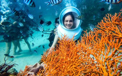 Tour 3 đảo Phú Quốc | Cano - Lặn ngắm san hô - Chụp ảnh SUP 7 trải nghiệm đi bộ dưới đáy biển