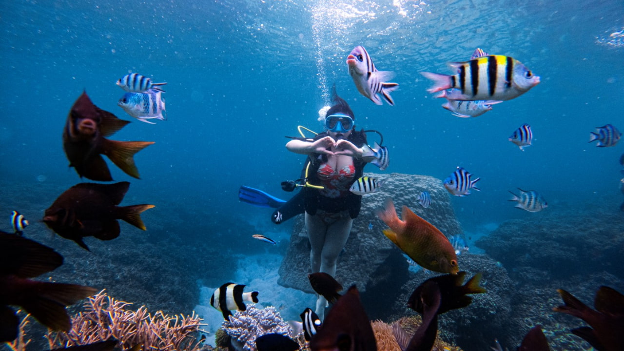 Tour Cần Thơ Bình Hưng Vĩnh Hy Ninh Chữ 2 ngày 2 đêm 18 Tour Cần Thơ Bình Hưng - Lặn ngắm thế giới dưới nước