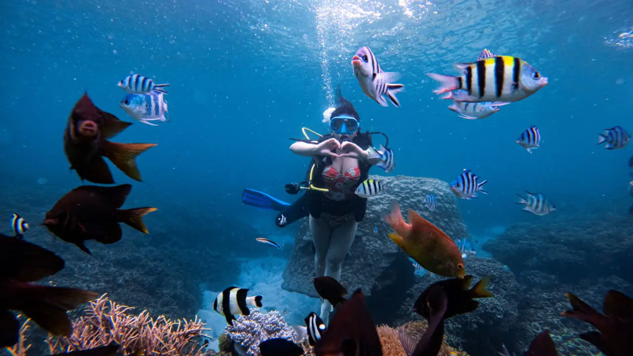 Tour Cần Thơ Bình Hưng - Lặn ngắm thế giới dưới nước 