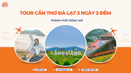 Tour Cần Thơ Đà Lạt 3 ngày 2 đêm