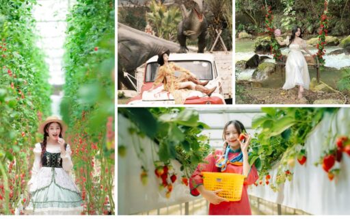 Tour Cần Thơ Đà Lạt 3 ngày 2 đêm | Thành phố mộng mơ 11 Tour Cần Thơ Đà Lạt 3 ngày 2 đêm