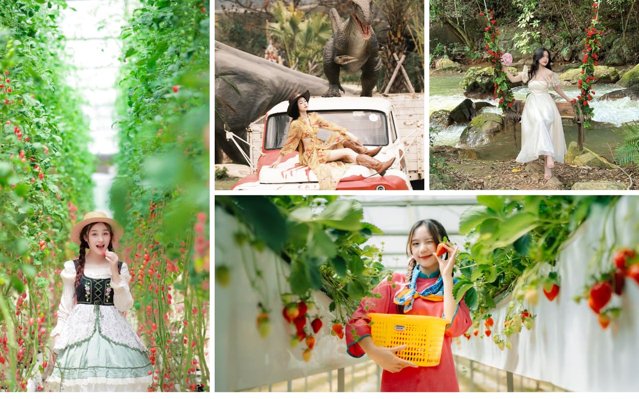 Tour Cần Thơ Đà Lạt 3 ngày 3 đêm - Địa điểm nổi bật