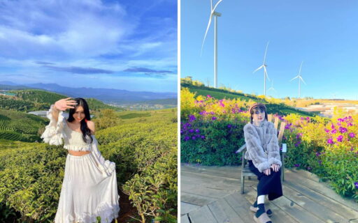 Tour Cần Thơ Đà Lạt 3 ngày 3 đêm - Đồi chè Cầu Đất