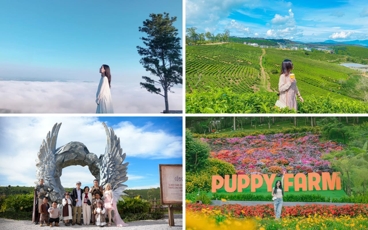 Tour Cần Thơ Đà Lạt 3 ngày 3 đêm - Thành phố mộng mơ