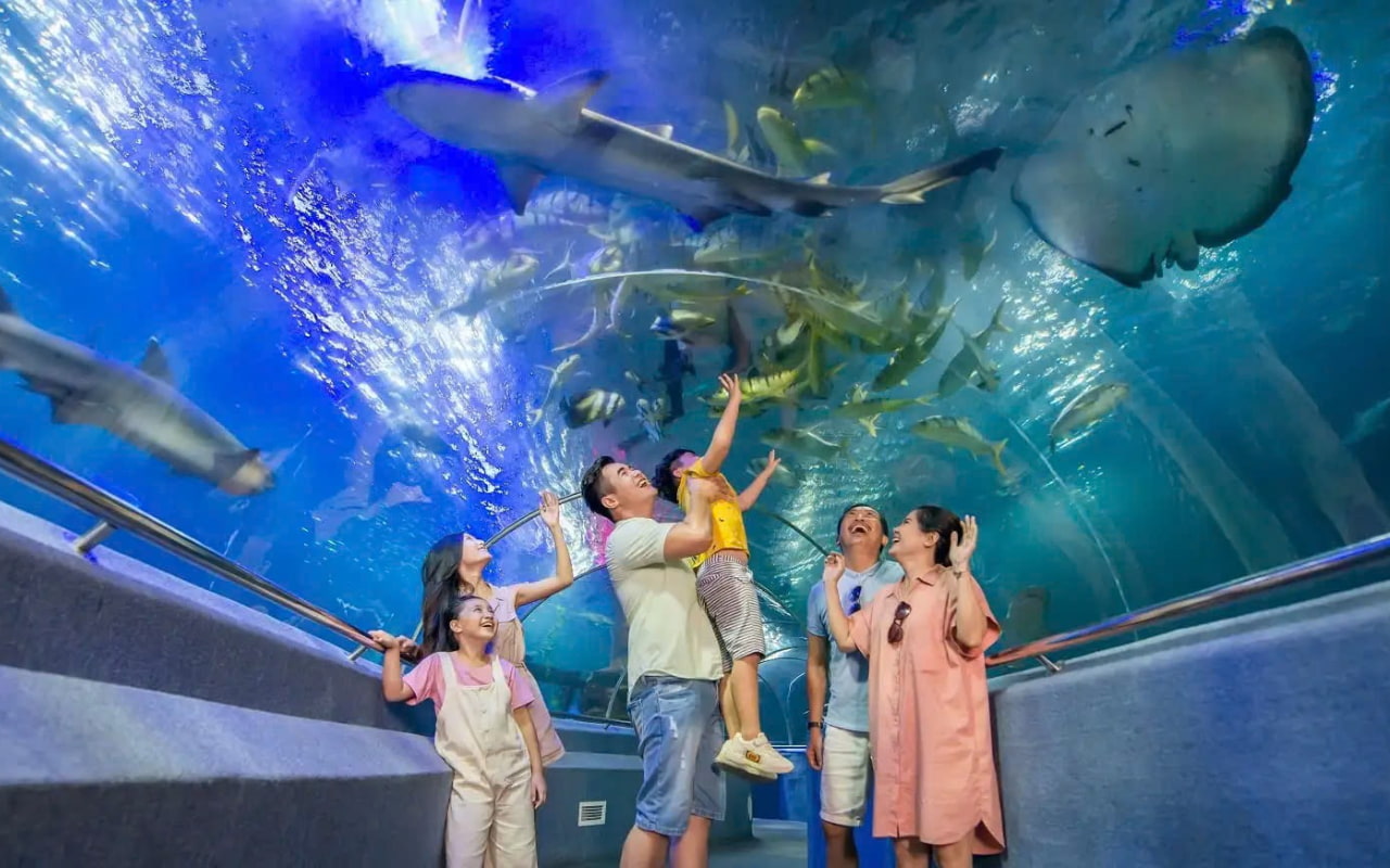 Tham quan Viện Hải dương học Nha Trang trong tour Cần Thơ Nha Trang 3 ngày 2 đêm
