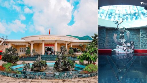 Tour Côn Đảo 2 ngày 1 đêm - Đón tại Côn Đảo 11 tour Côn Đảo 2 ngày 1 đêm từ TP HCM