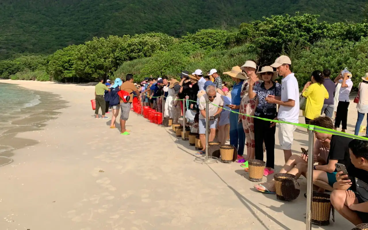 Tour Côn Đảo thả rùa về biển 2 ngày 1 đêm 8 Tour Côn Đảo thả rùa về biển