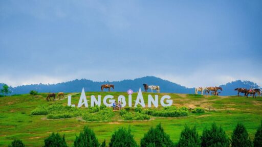 Tour Đà Lạt 3 ngày 2 đêm - Đón tại Đà Lạt 11 tour Đà Lạt 3 ngày 2 đêm