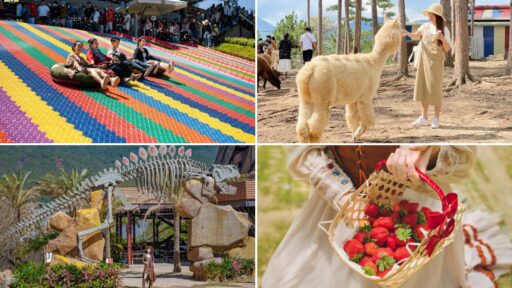 Tour Đà Lạt 3 ngày 2 đêm - Đón tại Đà Lạt 15 tour đi Đà Lạt 3 ngày 2 đêm