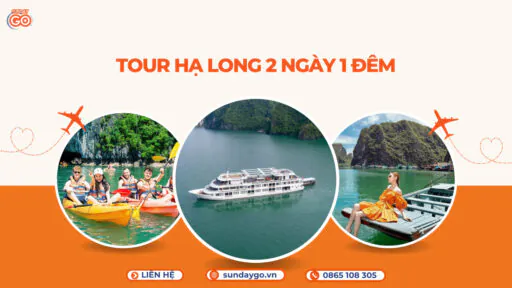 Tour Hạ Long 2 ngày 1 đêm