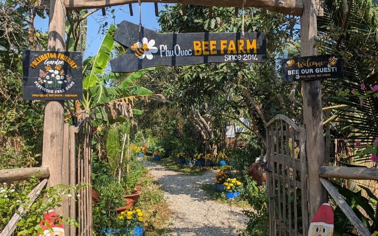 Tour Phú Quốc 3 ngày 2 đêm trọn gói từ Cần Thơ chỉ từ 3690k 17 Trại nuôi ong lấy mật