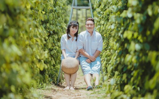 Tour Phú Quốc 3 ngày 2 đêm - Vườn tiêu