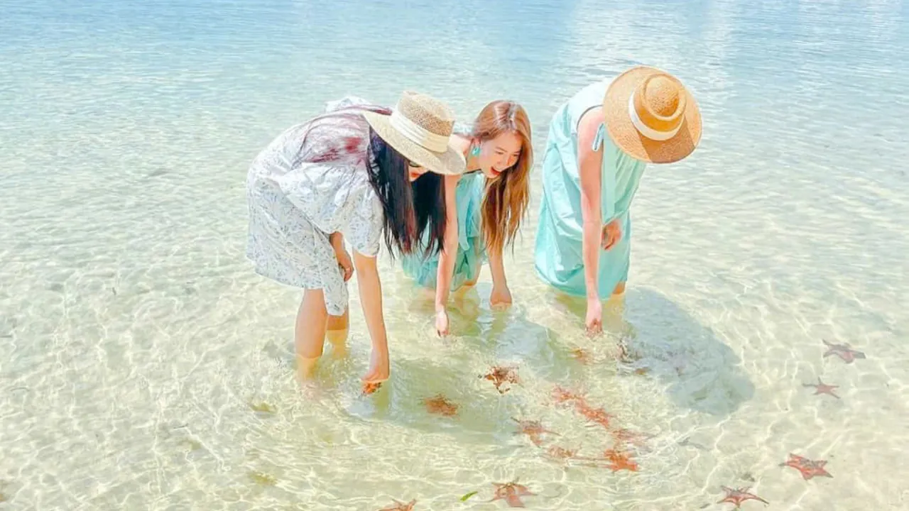 Tour Rạch Vẹm Phú Quốc - Ngắm sao biển