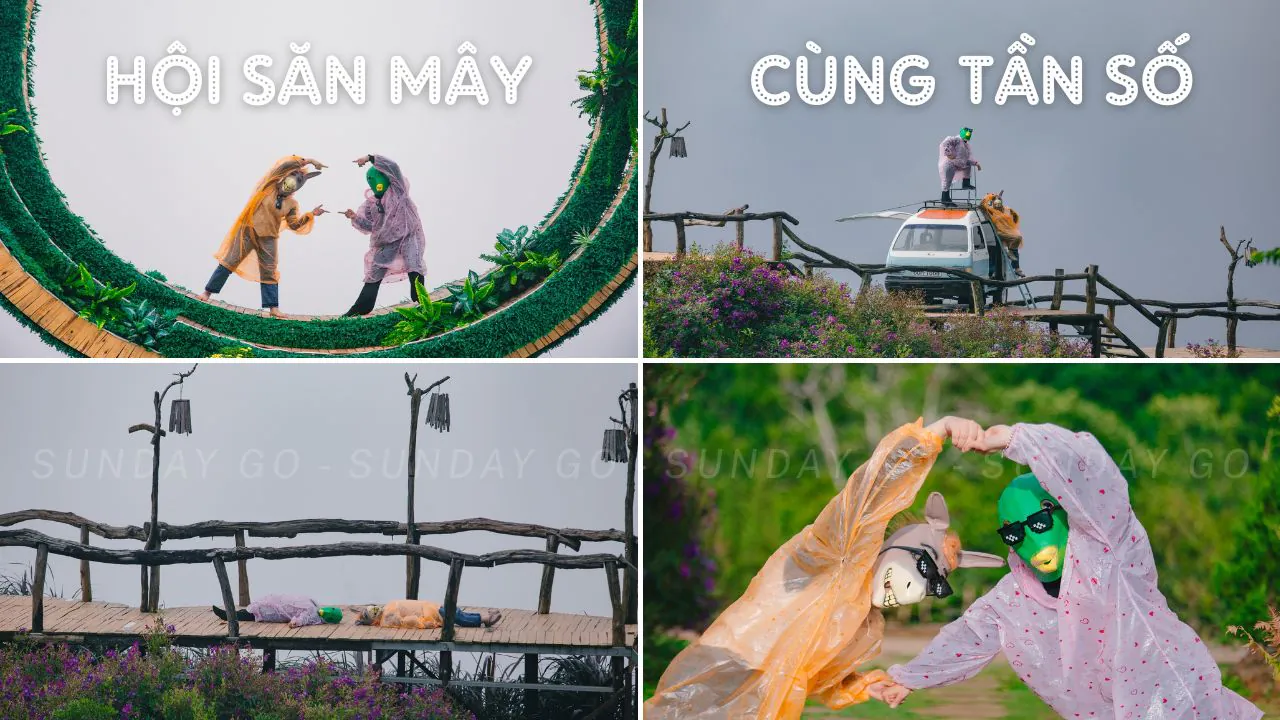 Tour săn mây Đà Lạt - Thiên đường Cầu Đất 17 tour săn mây Đà Lạt giá rẻ